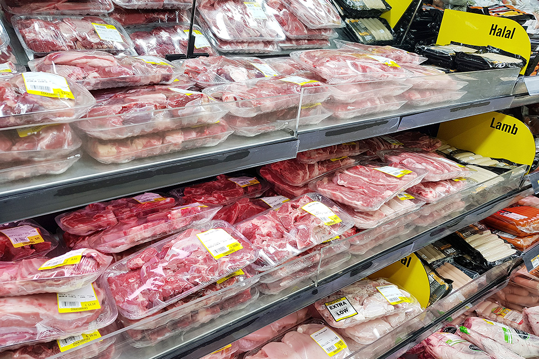 MELANCONG KE NEW ZEALAND DAN BELI MAKANAN MENTAH HALAL